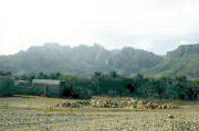 Пейзаж на Сокотре